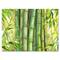 Designart - Bright Green Bamboo Stems - Transitional Canvas Wall Art Print